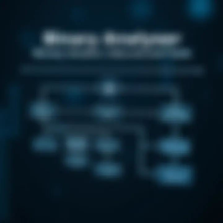 Diagram illustrating the workflow of a binary analyser examining binary data for vulnerabilities and anomalies